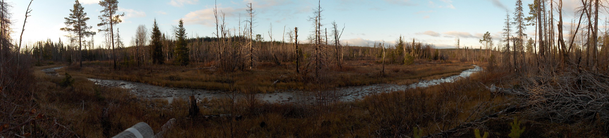 Panorama fra elgpasset