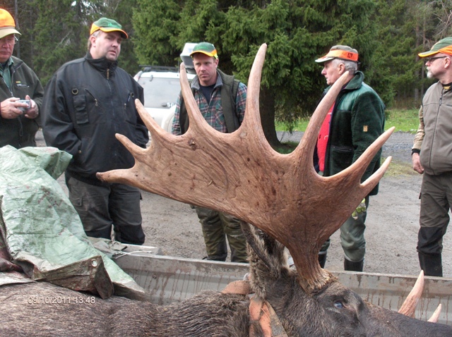 Oktoberjagten 2011 i Jämtland