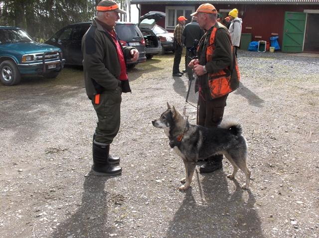 Jmthund og hundefrer