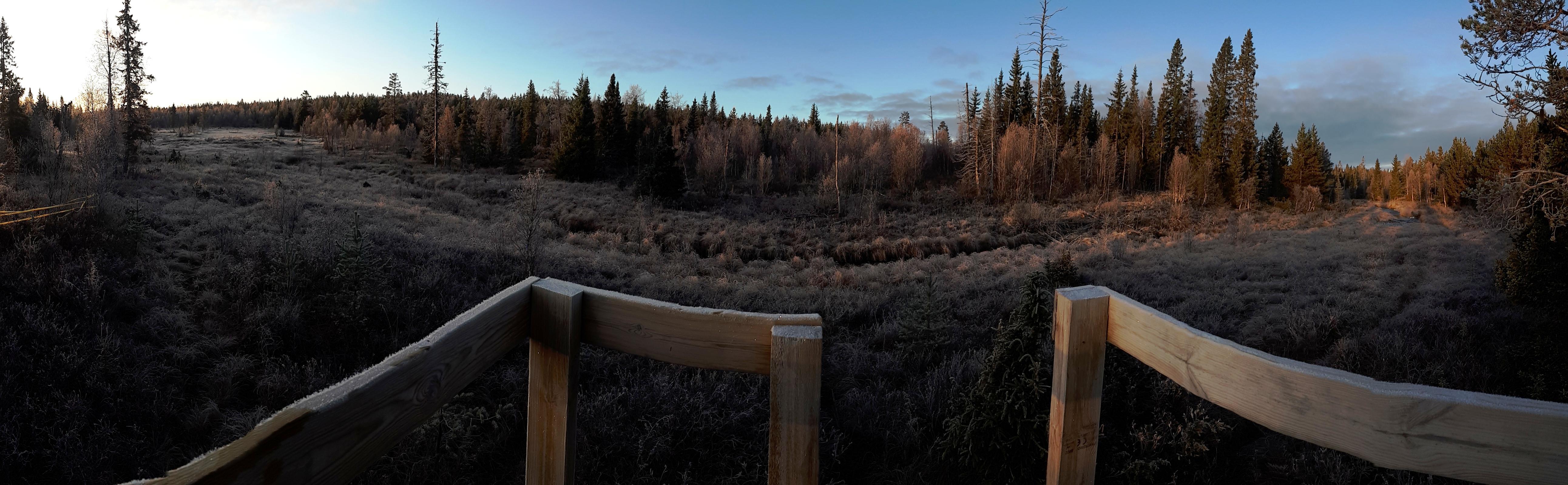 Ån, tidlig morgen med rimfrost