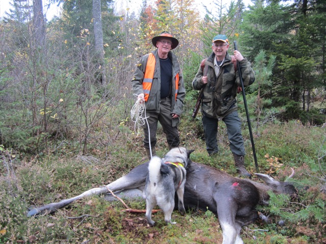 Grhund, hundefrer og glad skytte.