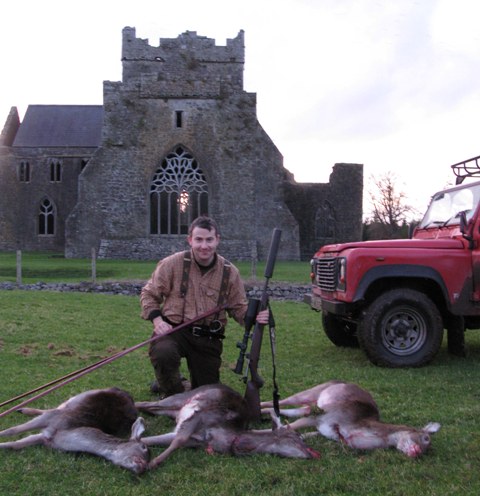 Doedeer in Ireland. Foto K.H.