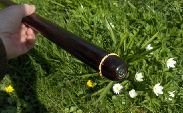 Walking stick with a compass