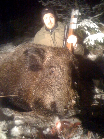 Grosser Wildschwein aus Schweden. Foto A.F.